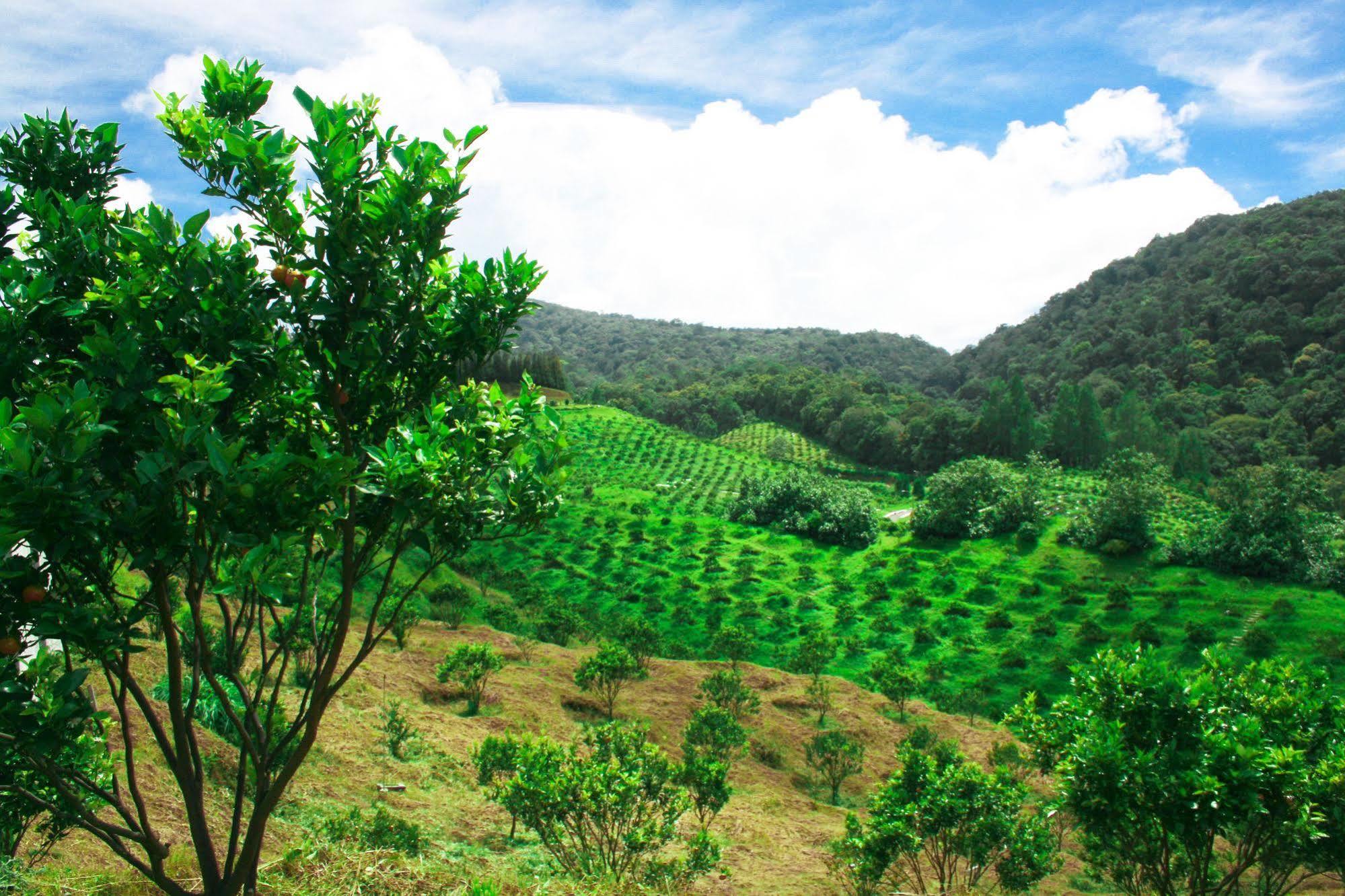 Taman Simalem Resort Tongging Eksteriør bilde